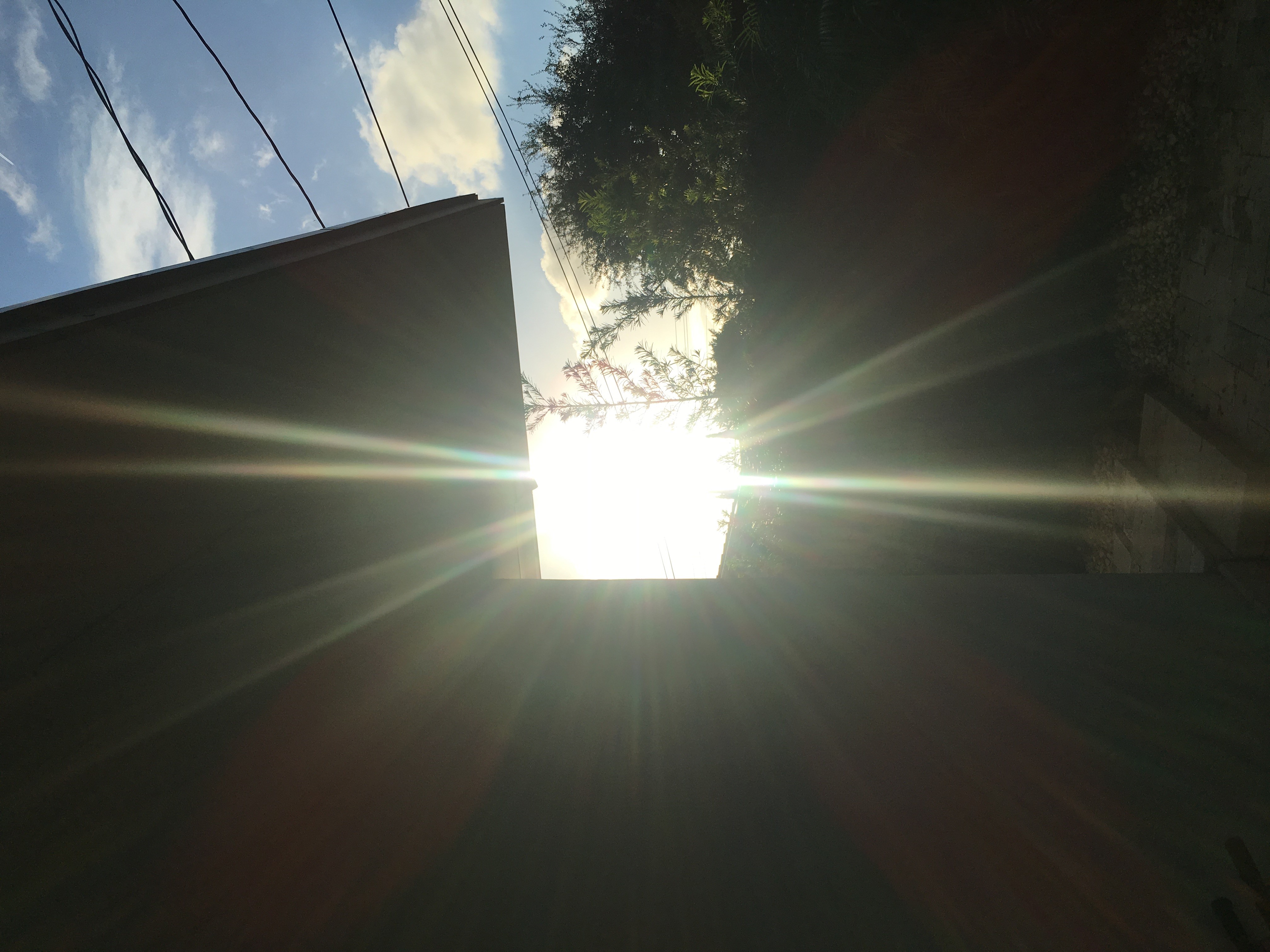 sun-pic-yard